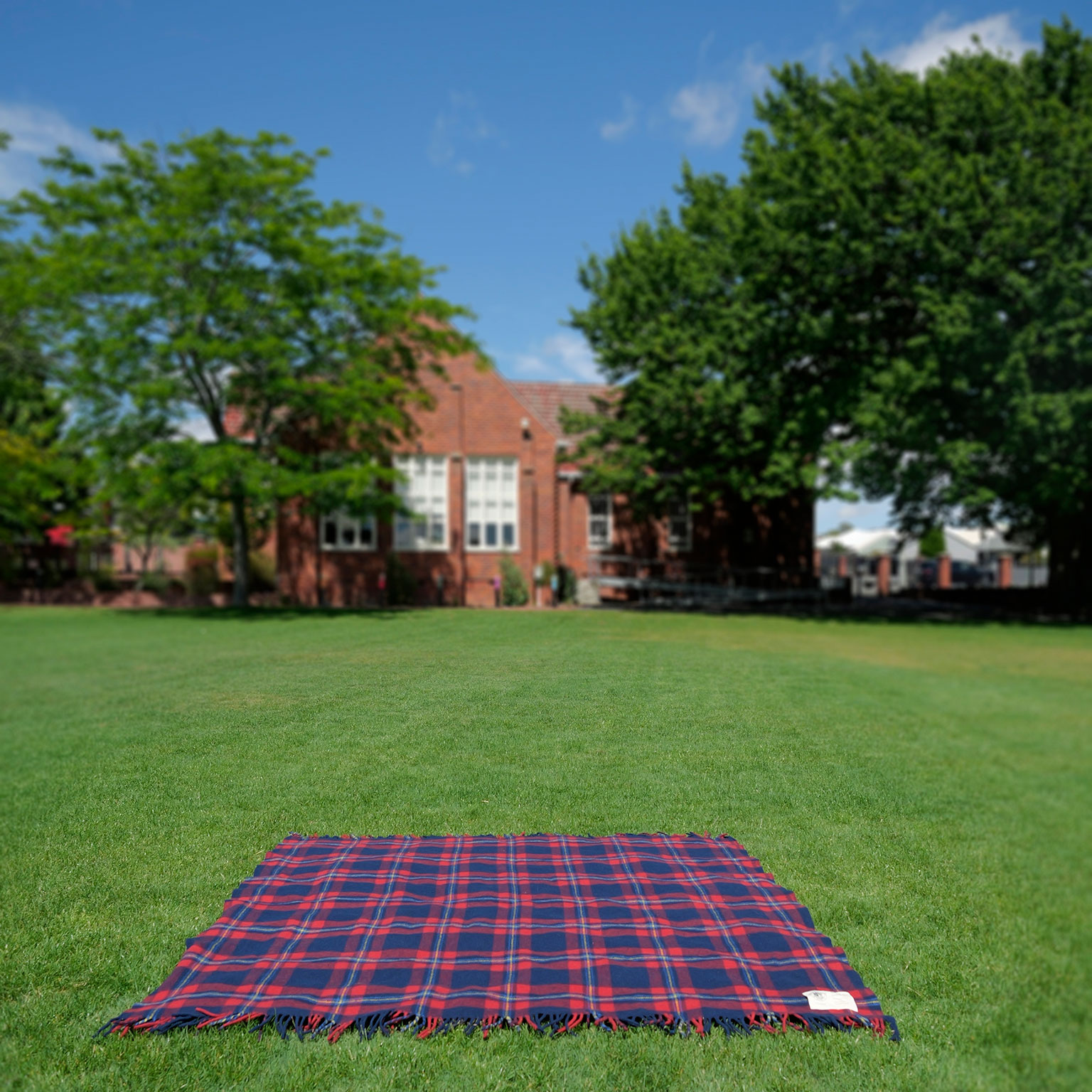 Waverley Woollen Mills 140-Year Celebration Picnic Blanket - Image 6